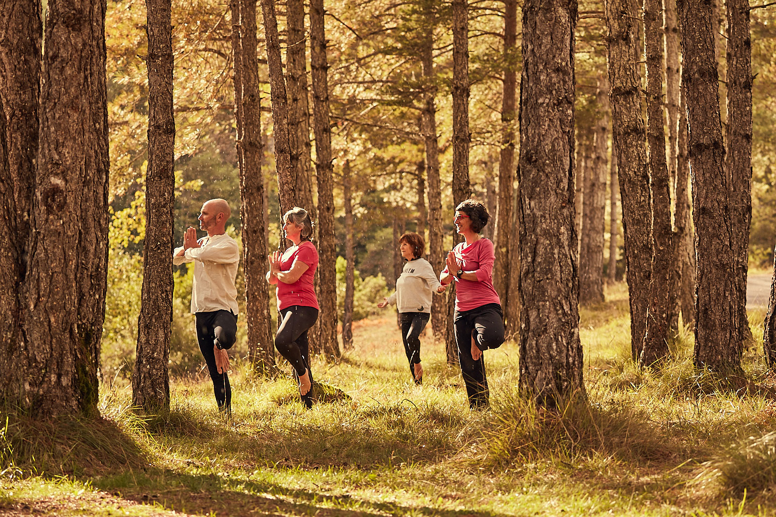 Yoga Integral Yoga Integral